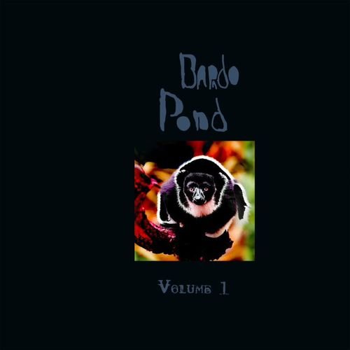 Cover for Bardo Pond · Volume 1 (LP) (2021)