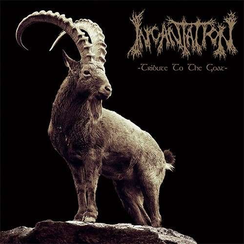 Cover for Incantation · Tribute to the Goat (LP) [Limited edition] (2016)