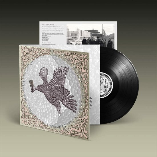 James Yorkston, Nina Persson and the Second Hand · The Great White Sea Eagle (LP) (2023)