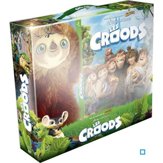 Cover for Les Croods (DVD)