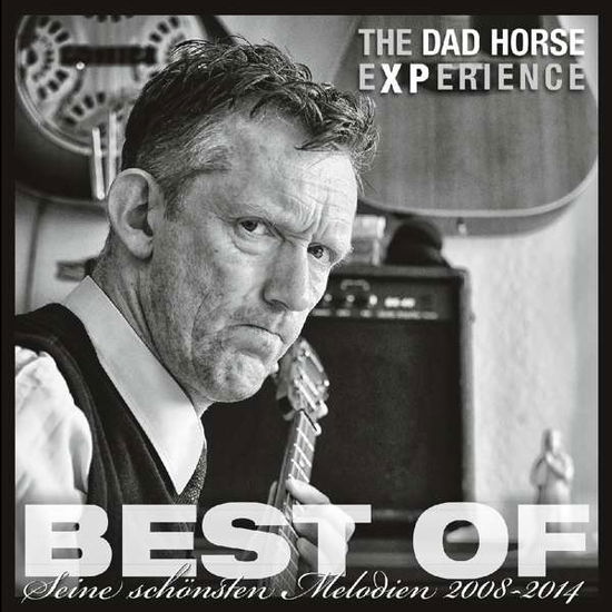 Best of - Seine Schönsten Melodien 2008-2015 (12? - The Dad Horse Experience - Muziek - OFF LABEL - 4006180255212 - 1 april 2016