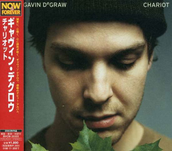 Chariot - Gavin Degraw - Muziek - BMG - 4988017659212 - 27 mei 2008