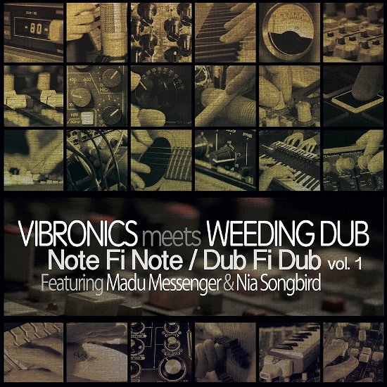 Cover for Vibronics · Dub Productions (LP)