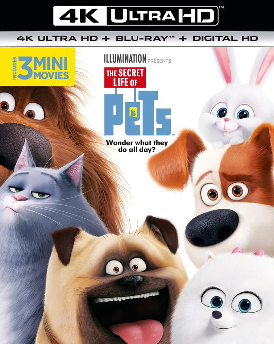 Secret Life of Pets the Uhdslim · The Secret Life Of Pets (4K Ultra HD) (2017)