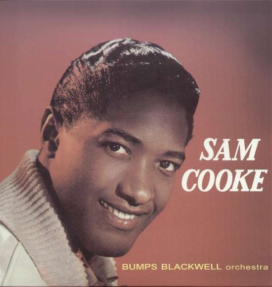 Cover for Sam Cooke (LP) [High quality vinyl edition] (2004)