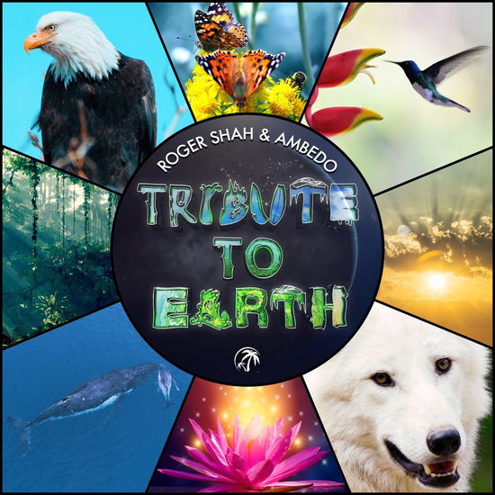 Tribute To Earth - Shah, Roger & Ambedo - Música - BLACKHOLE - 8715197001212 - 23 de junho de 2023