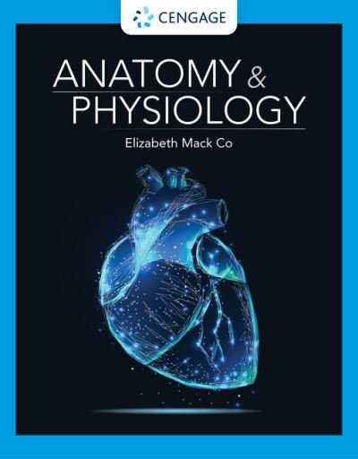Cover for Co, Elizabeth (Boston University) · Anatomy &amp; Physiology (Hardcover Book) [New edition] (2022)