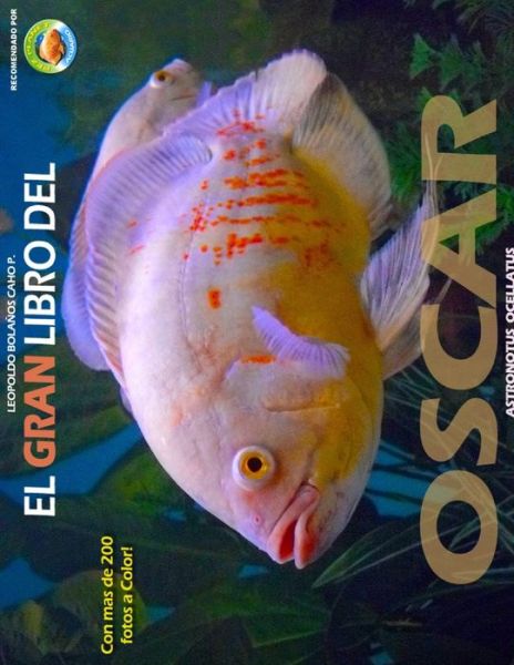 Cover for Leopoldo Bolanos Cacho Preciado · Gran Libro del Oscar (Book) (2009)