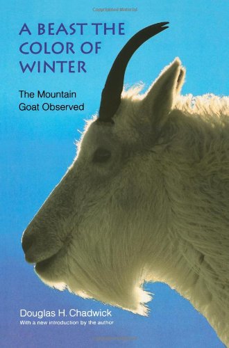 Cover for Douglas H. Chadwick · A Beast the Color of Winter: The Mountain Goat Observed (Paperback Book) [Bison Books Ed edition] (2002)