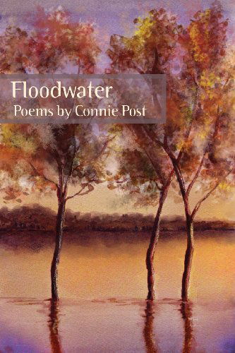 Cover for Connie Post · Floodwater (Paperback Book) (2014)