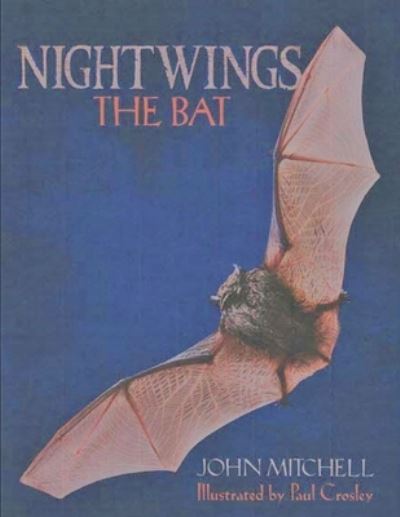 Cover for John Roy Mitchell · Nightwings The Bat (Paperback Book) (2020)