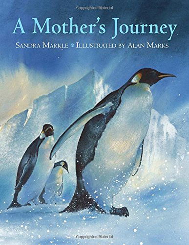 Cover for Sandra Markle · A Mother's Journey (Hardcover Book) (2005)