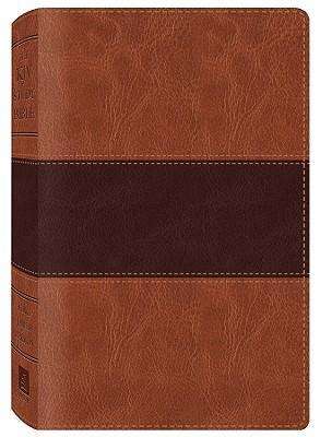 Cover for Inc Barbour Publishing · Study Bible-kjv (Leather Book) [Brown Imitation] (2011)