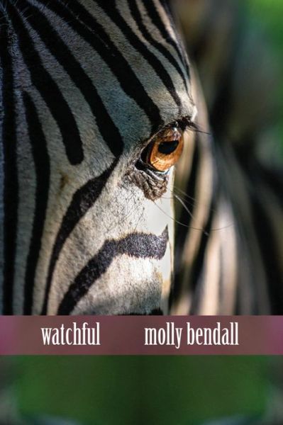 Cover for Molly Bendall · Watchful (Paperback Book) (2016)