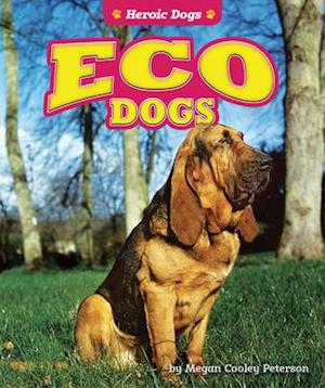 Cover for Megan Cooley Peterson · Eco Dogs (Hardcover Book) (2021)