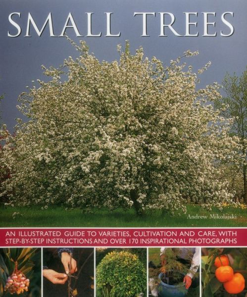 Cover for Mikolajski Andrew · Small Trees (Paperback Book) (2014)