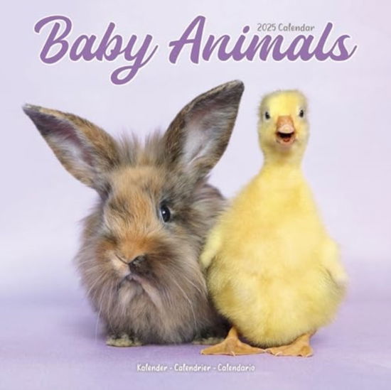 Cover for Baby Animals Calendar 2025  Square Animal Wall Calendar - 16 Month (Calendar) (2024)