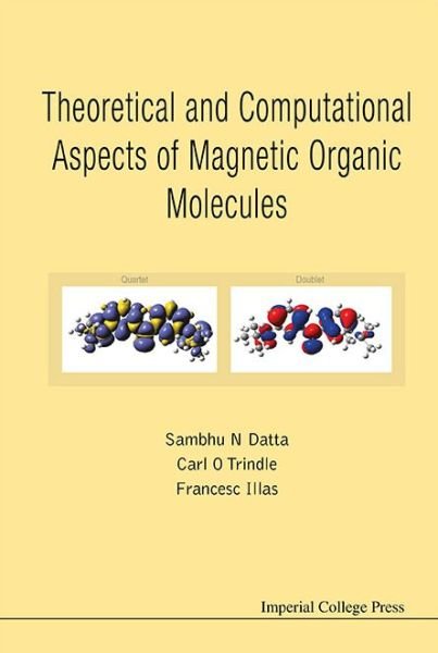 Cover for Datta, Sambhu N (Indian Inst Of Technology, Bombay, India) · Theoretical And Computational Aspects Of Magnetic Organic Molecules (Hardcover Book) (2014)