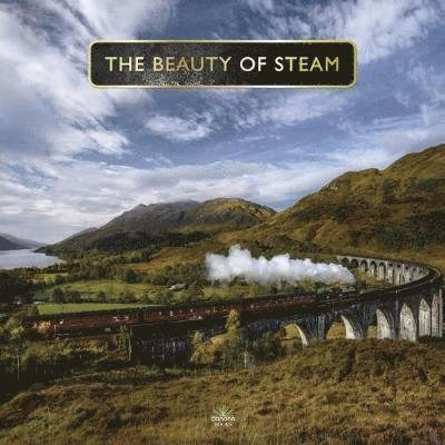 Beauty Of Steam - P. Waller - Kirjat - Danann Publishing Limited - 9781912332212 - maanantai 8. lokakuuta 2018