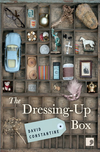 Cover for David Constantine · The Dressing-Up Box (Hardcover Book) (2019)