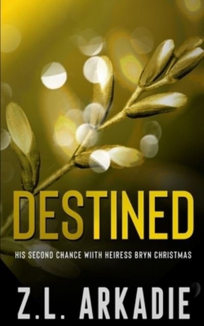 Cover for Z L Arkadie · Destined - The Billionaire Christmas Brothers (Paperback Bog) (2020)