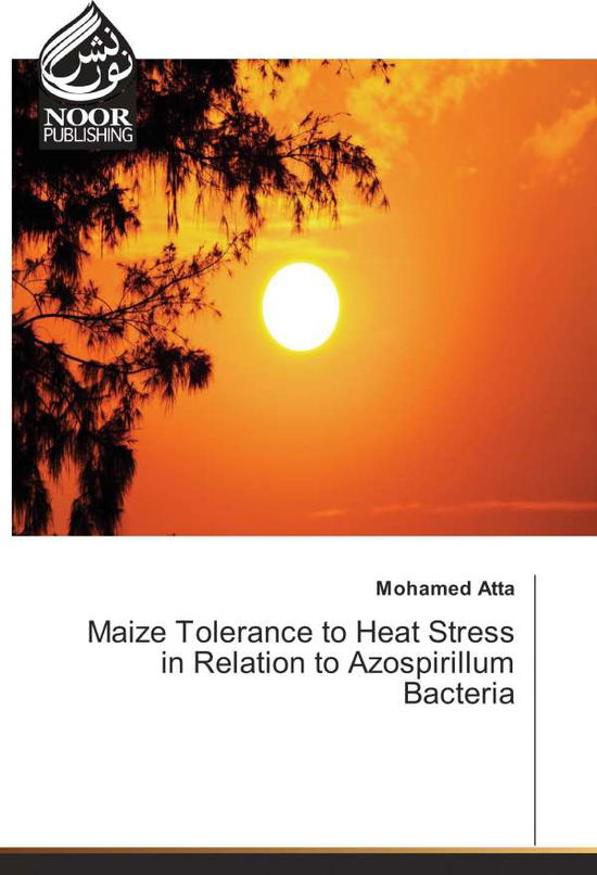 Cover for Atta · Maize Tolerance to Heat Stress in (Book)