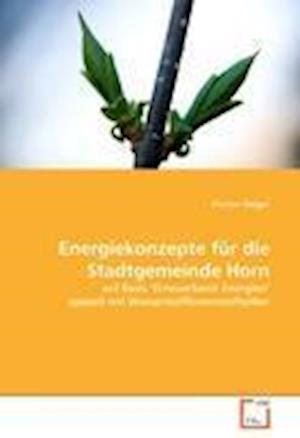 Cover for Stöger · Energiekonzepte für die Stadtgem (Book)