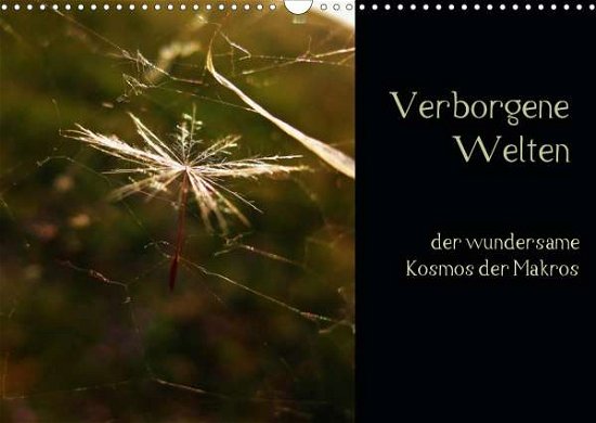 Cover for Crash · Verborgene Welten - der wundersam (Book)