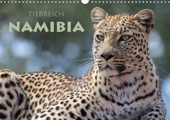 Tierreich Namibia (Wandkalender 2 - Peyer - Books -  - 9783671837212 - 