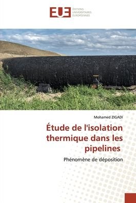 Cover for Zigadi · Étude de l'isolation thermique d (Bok) (2020)