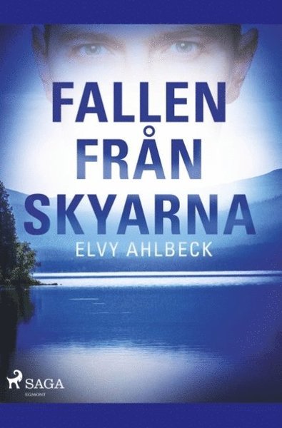 Cover for Elvy Ahlbeck · Fallen från skyarna (Book) (2019)