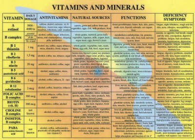 Vitamins & Minerals -- A4 - Jan van Baarle - Produtos - Jan van Baarle - 9789070281212 - 1 de fevereiro de 1997
