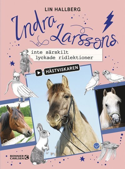Cover for Lin Hallberg · Hästviskaren: Indra Larssons inte särskilt lyckade ridlektioner (Landkart) (2019)
