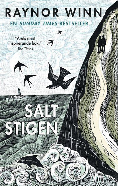 Cover for Raynor Winn · Saltstigen (Taschenbuch) (2024)