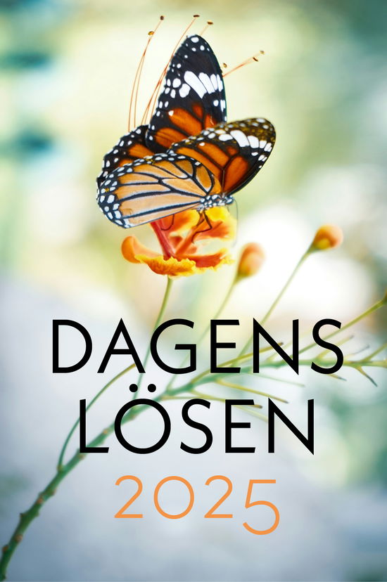 Dagens Lösen 2025 (Book) (2024)