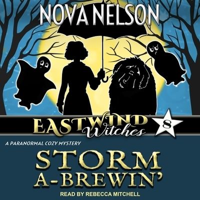 Cover for Nova Nelson · Storm A-Brewin' (CD) (2020)