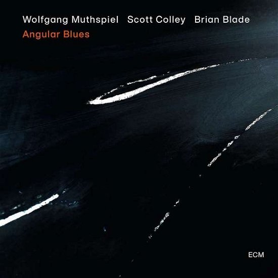 Cover for Wolfgang Muthspiel / Scott Colley / Brian Blade · Angular Blues (LP) (2020)