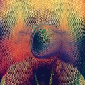 Young Magic · Melt (LP) (2012)