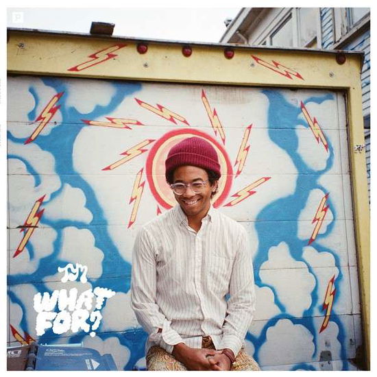 What For - Toro Y Moi - Muziek - CARPARK - 0677517010213 - 2 april 2015