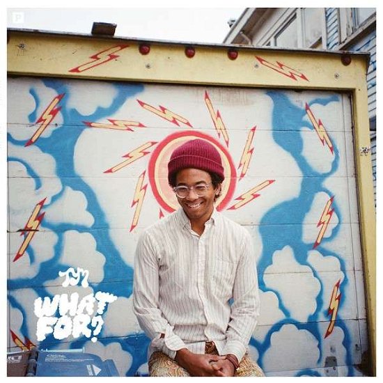 Toro Y Moi · What For (LP) (2015)