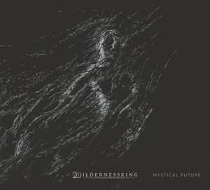 Cover for Wildernessking · Mystical Future (CD) (2016)