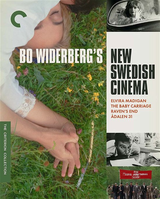 Cover for Criterion Collection · Bo Widerberg's New Swedish Cinema (Blu-ray) (2023)
