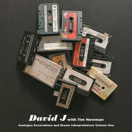 Analogue Excavations  Dream Interpretations V - David J with Tim Newman - Musikk - GLASS MODERN - 5024545924213 - 18. juni 2022