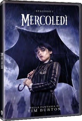 Cover for Mercoledi' - Stagione 01 (3 Dv (DVD) (2024)