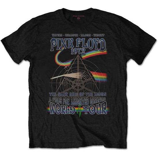 Pink Floyd Unisex T-Shirt: Assorted Lunatics - Pink Floyd - Mercancía - Perryscope - 5056170624213 - 