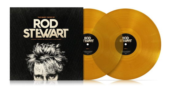 Cover for Rod.=V/A= Stewart · Many Faces Of Rod Stewart (LP) (2023)