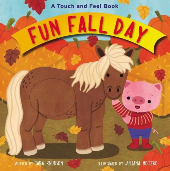 Cover for Tara Knudson · Fun Fall Day: A Touch and Feel Board Book (Kartongbok) (2020)