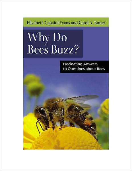 Cover for Elizabeth Evans · Why Do Bees Buzz?: Fascinating Answers to Questions about Bees - Animals Q &amp; A (Paperback Book) (2010)