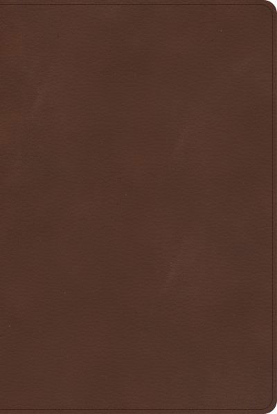 Cover for CSB Bibles by Holman · CSB Rainbow Study Bible, Brown LeatherTouch (Leather Book) (2022)