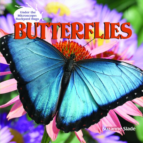 Cover for Suzanne Slade · Butterflies (Under the Microscope: Backyard Bugs) (Hardcover Book) (2007)